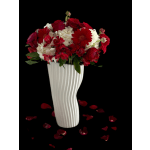 Bold Elegance