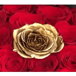 Close-up of a red rose arrangement with a gold rose in the center