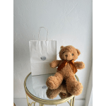 Plush Teddy Bear