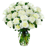PURITY