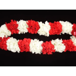 MIXED OF RED & WHITE CARNATION LEI