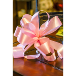 Large Bow