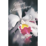 White and pink orchids with a "Happy Anniversary" message