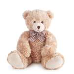 Plush teddy bear with a checkered bow on a white background