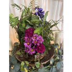 10" Dish Garden