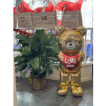 Potted green houseplant beside a gold teddy bear balloon