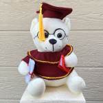 White Graduation Teddy Bear