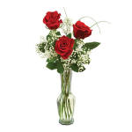 Three red roses in a clear glass vase with white filler flowers