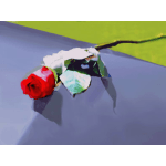 Single red rose with white petals on a flat surface