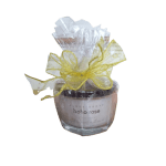 Arbor Grove Boho Rose Candle