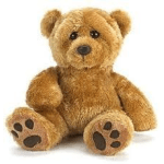 Brown plush teddy bear with dark eyes and paw-print pads sitting on a white background