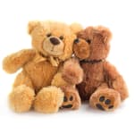 Two plush teddy bears sitting together on a white background