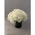 Summer Collection Hydrangeas.