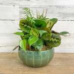 Assorted Houseplant Foliage Dish