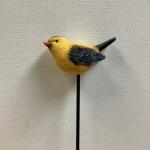 Goldfinch bird on stick