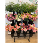 Flower Bar Experience