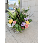 Garden in Bloom