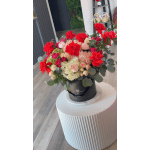Garden Box