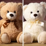 Two plush teddy bears, one tan and one white, each with a ribbon bow.