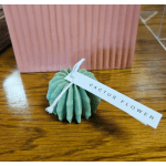 Cactus Candle - Barrell