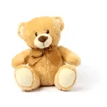 Plush teddy bear sitting upright on a white background