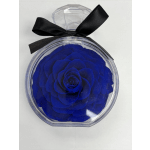 Preserved Single Rose