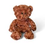 Brown plush teddy bear sitting on a white background