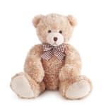 Plush teddy bear with a checkered bow tie