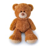 Brown plush teddy bear sitting on a white background