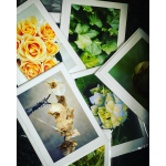 Assorted floral prints with roses, orchids, and ivy leaves