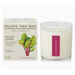 Backyard Rhubarb - Plant the Box Candle - 9oz.