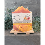 Sweet Orange Hibiscus