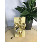 Gift box with gold ribbon beside a potted green plant