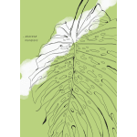 Illustration of a monstera leaf on a light green background