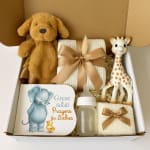 Baby gift box with a plush dog, giraffe toy, bottle, and prayer book