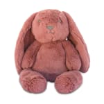 Pink plush bunny with long floppy ears sitting on a white background