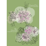 Illustration of jasmine vine and rose geranium flowers on a green background
