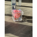 Pink rose in a clear acrylic box with a matching tall acrylic stand