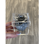 Single metallic silver rose in a clear acrylic box