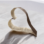 Curved dried ribbon-like decorative piece on a light surface