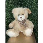Beige teddy bear with a plaid bow sitting against a green backdrop