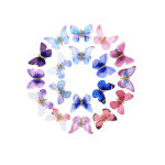 Colorful butterfly decorations arranged in a circle on a white background