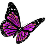 Purple and black butterfly illustration on a white background