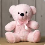 Pink teddy bear with a satin bow