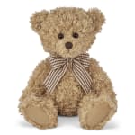 Tan teddy bear with a plaid bow on a white background