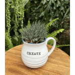 Potted succulent in a white mug-shaped planter with the word CREATE