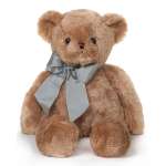 Tate the Teddy Bear
