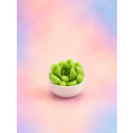 Green succulent in a white bowl on a pastel background