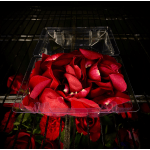 Clear plastic tray filled with red rose petals on a dark shelf
