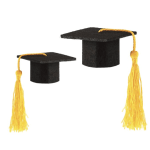 Mini Graduation Hat